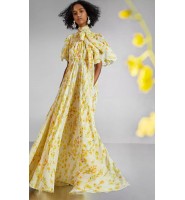 Carolina Herrera 2020春夏季时尚淡雅黄色印花
