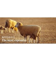纺织英文：关于羊毛的中英文对照
